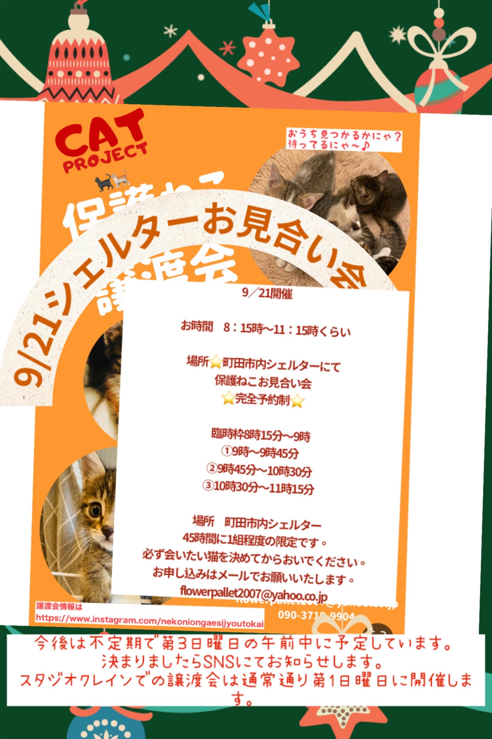 HappyCats〜ねこに恩返し〜保護ねこシェルターお見合い会