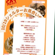 HappyCats〜ねこに恩返し〜保護ねこシェルターお見合い会