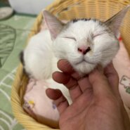 一緒に添い寝したいノアちゃん