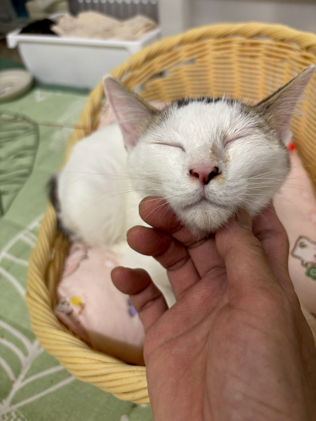 一緒に添い寝したいノアちゃん