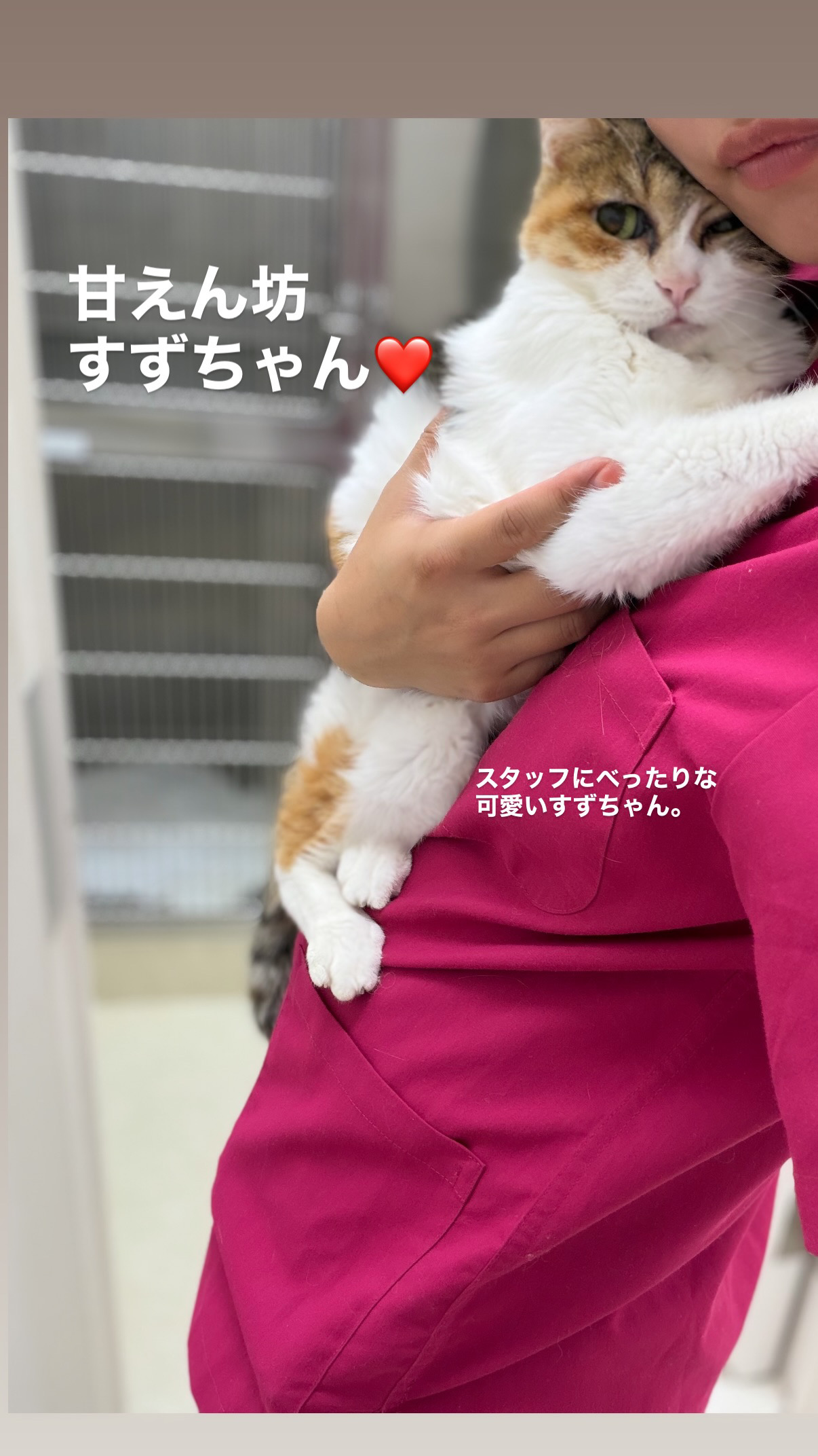 おっとりさんな女の子すずちゃん