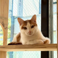 おっとり優しいこういちくん