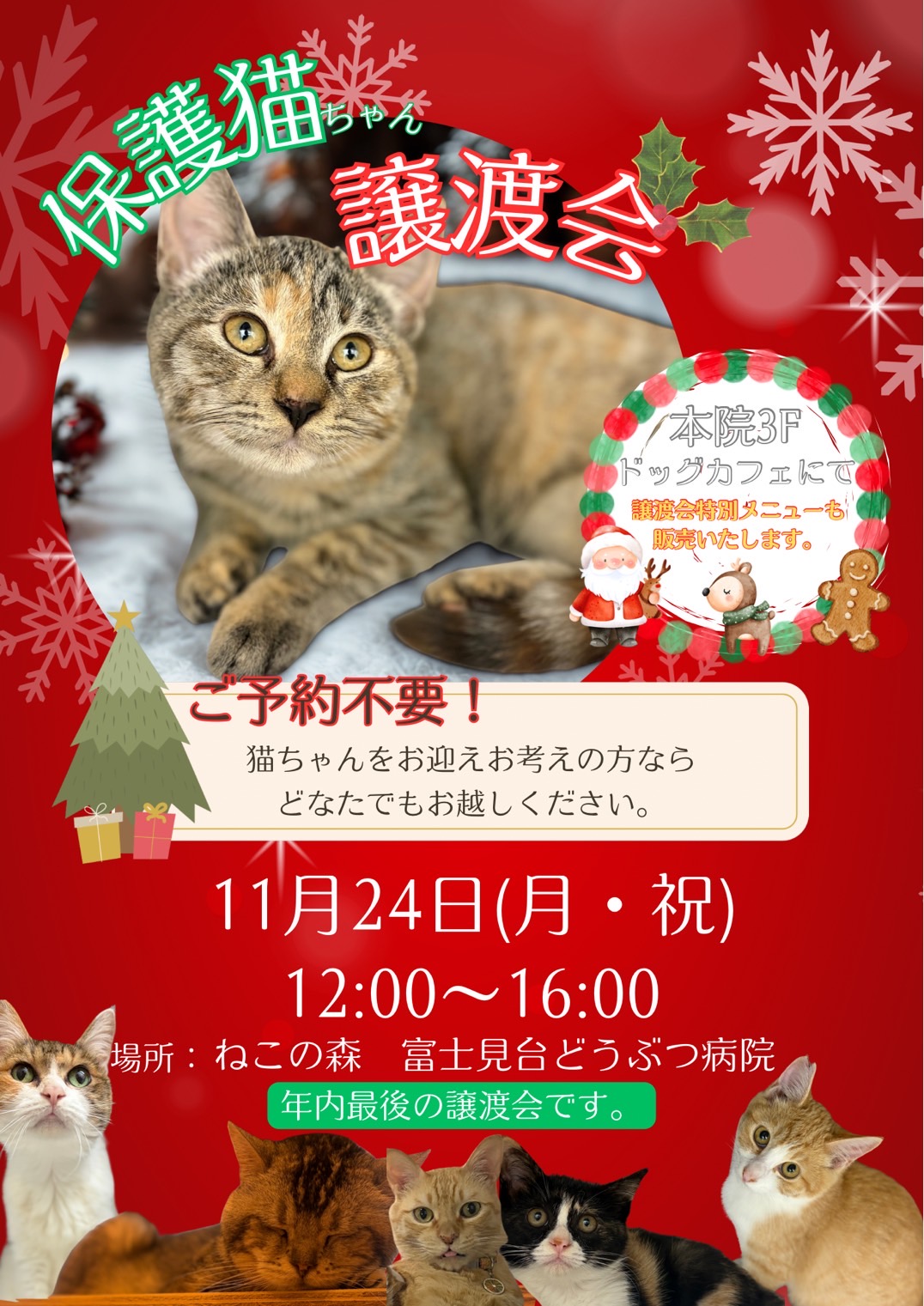ねこの森保護猫譲渡会