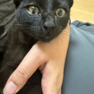 2ヶ月くらいの男の子