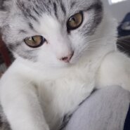 7ヶ月の3姉妹
