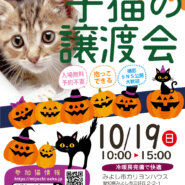 子猫中猫21匹+α★みよし市