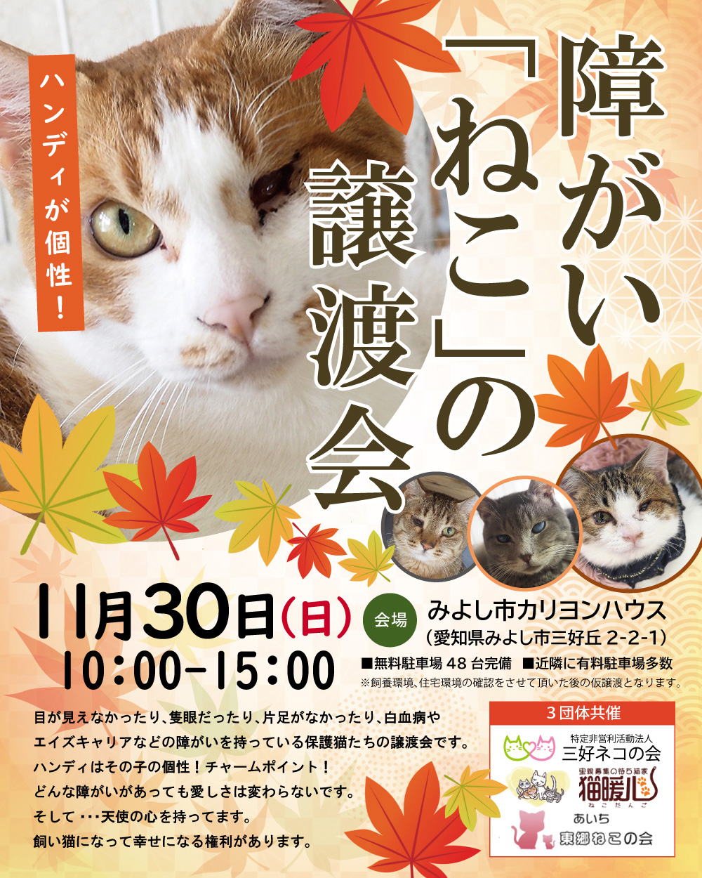 第2回障がい猫の譲渡会★みよし市