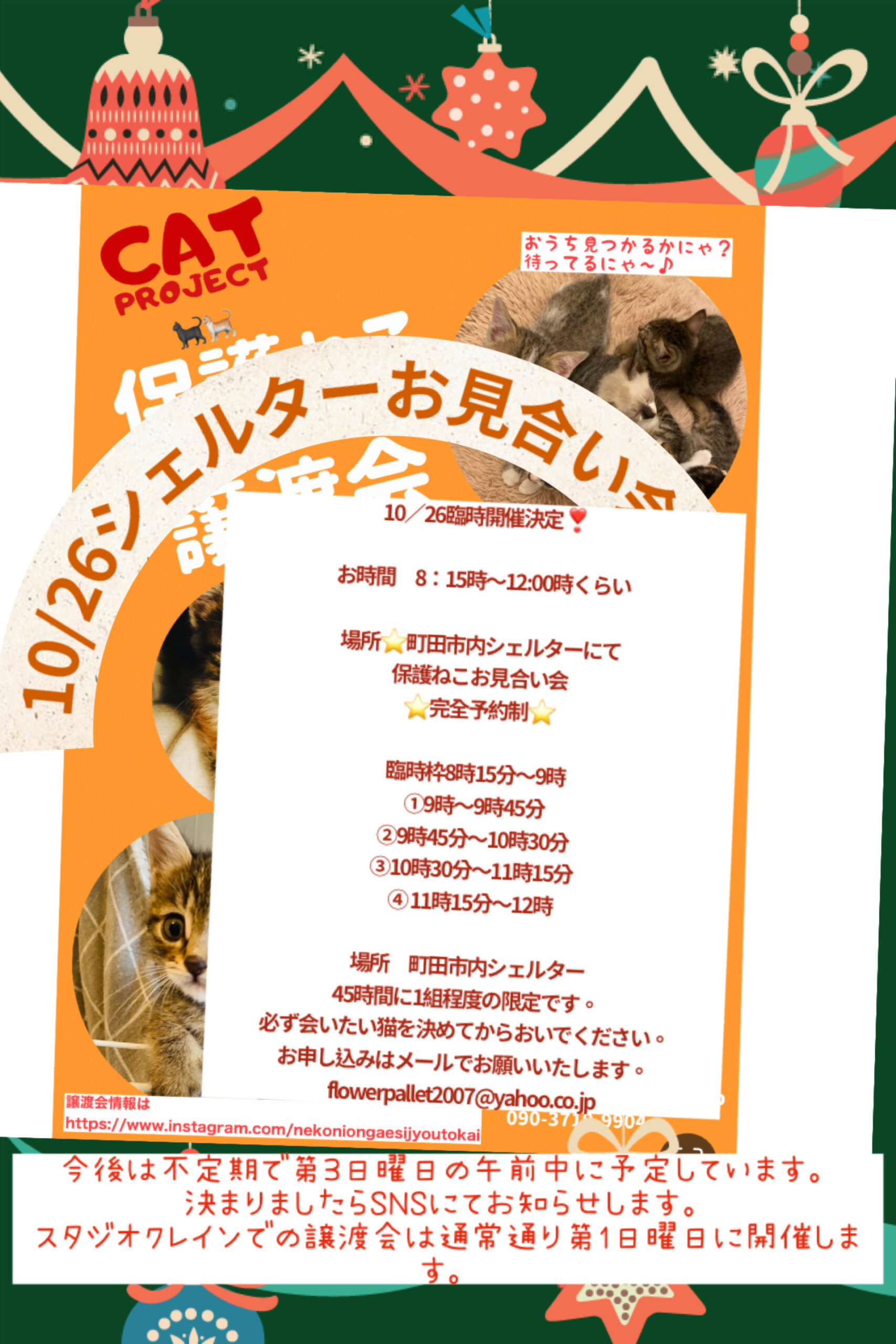 HappyCats〜ねこに恩返し〜保護ねこシェルターお見合い会