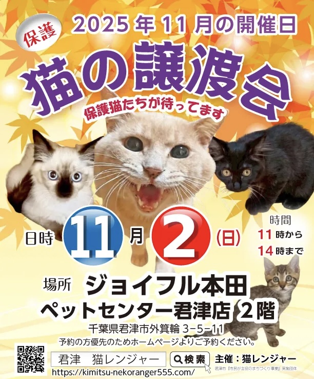 【君津市】保護、猫の譲渡会