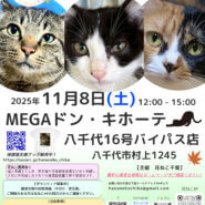 花ねこ譲渡会