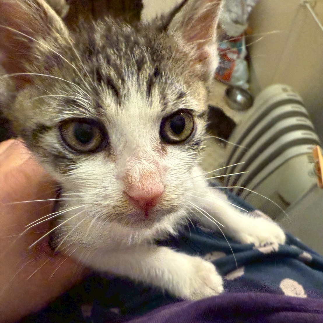 リーダータイプの水城くん!!