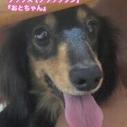おとちゃん