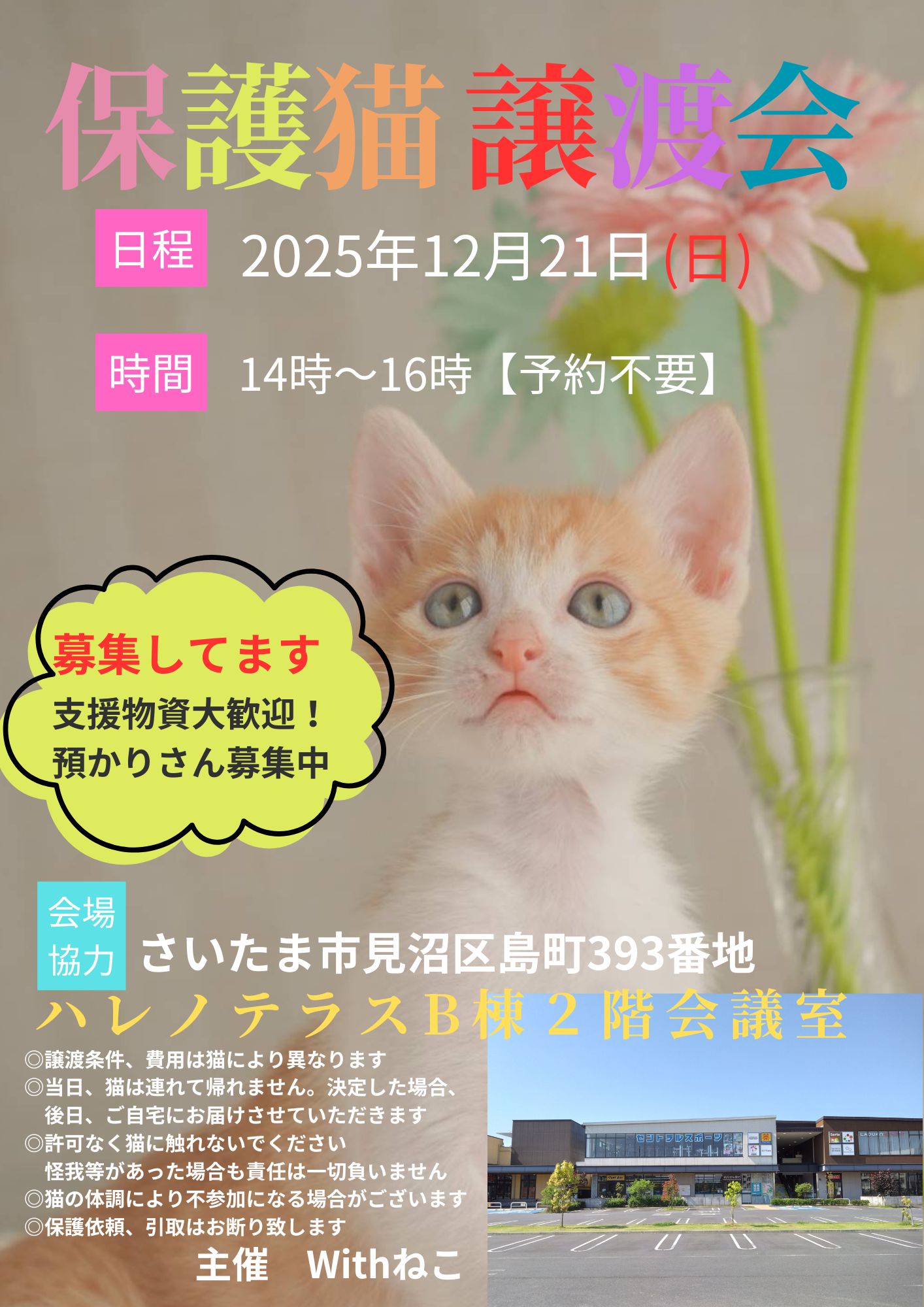 【さいたま市見沼区】12/21(日)ハレノテラス保護猫譲渡会