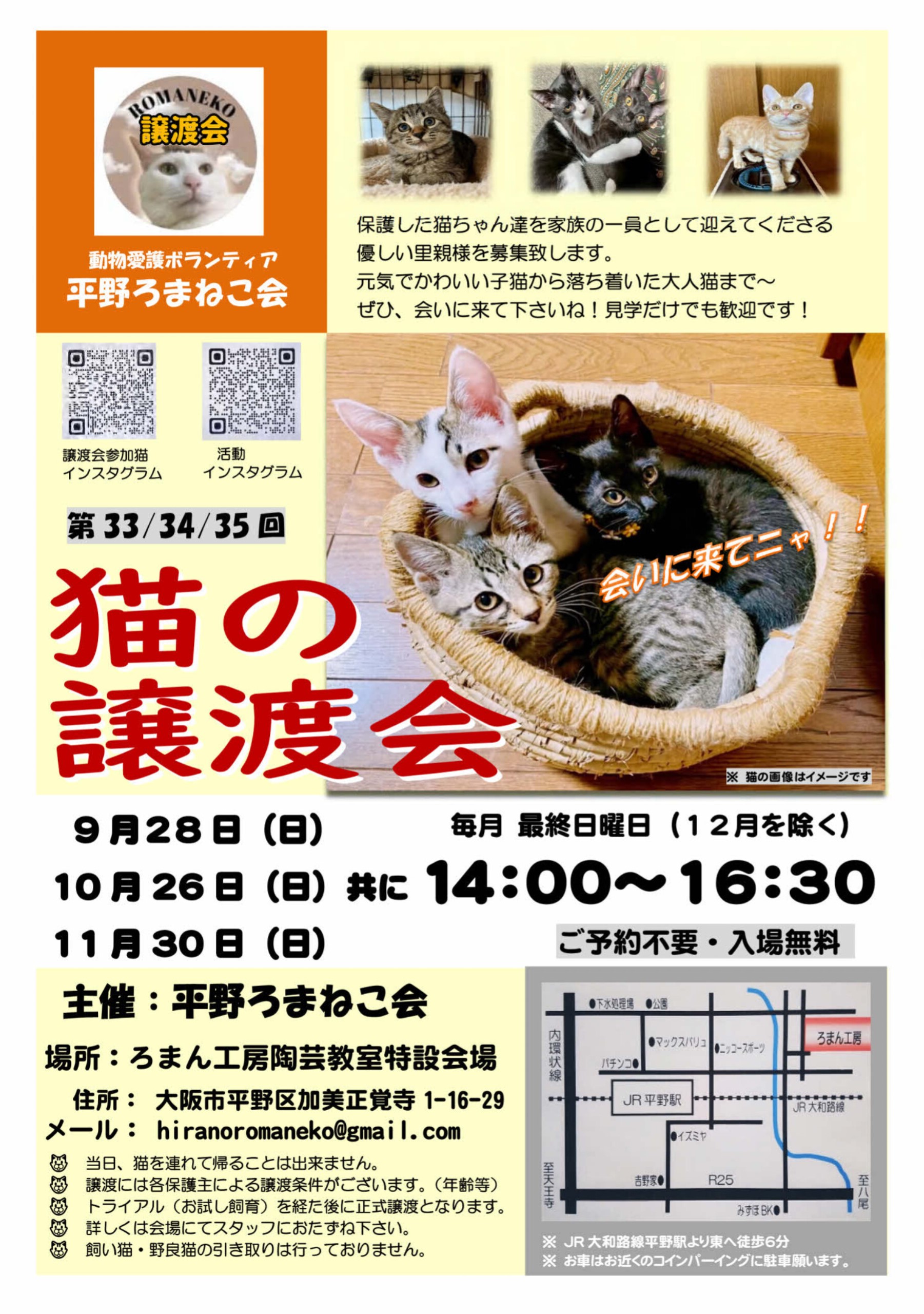 第35回 平野ろまねこ譲渡会