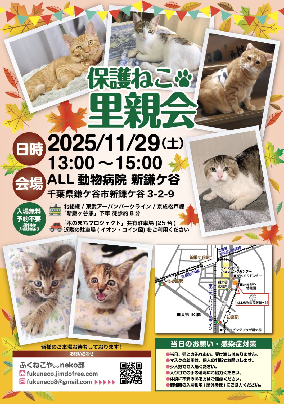 保護ねこ里親会@新鎌ヶ谷