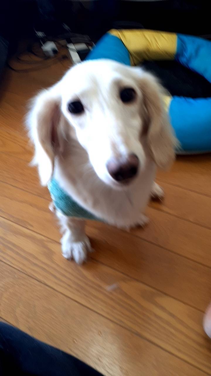 プーさん大好き8歳の女の子です。