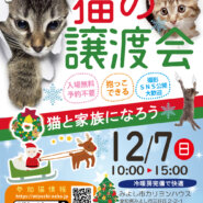 小さな猫の譲渡会★みよし市