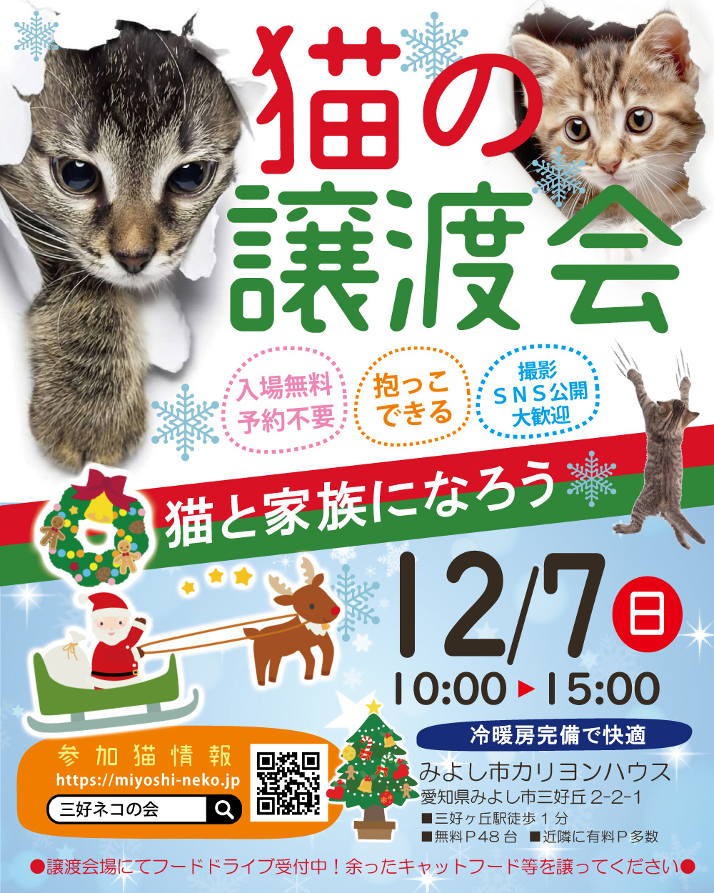 小さな猫の譲渡会★みよし市