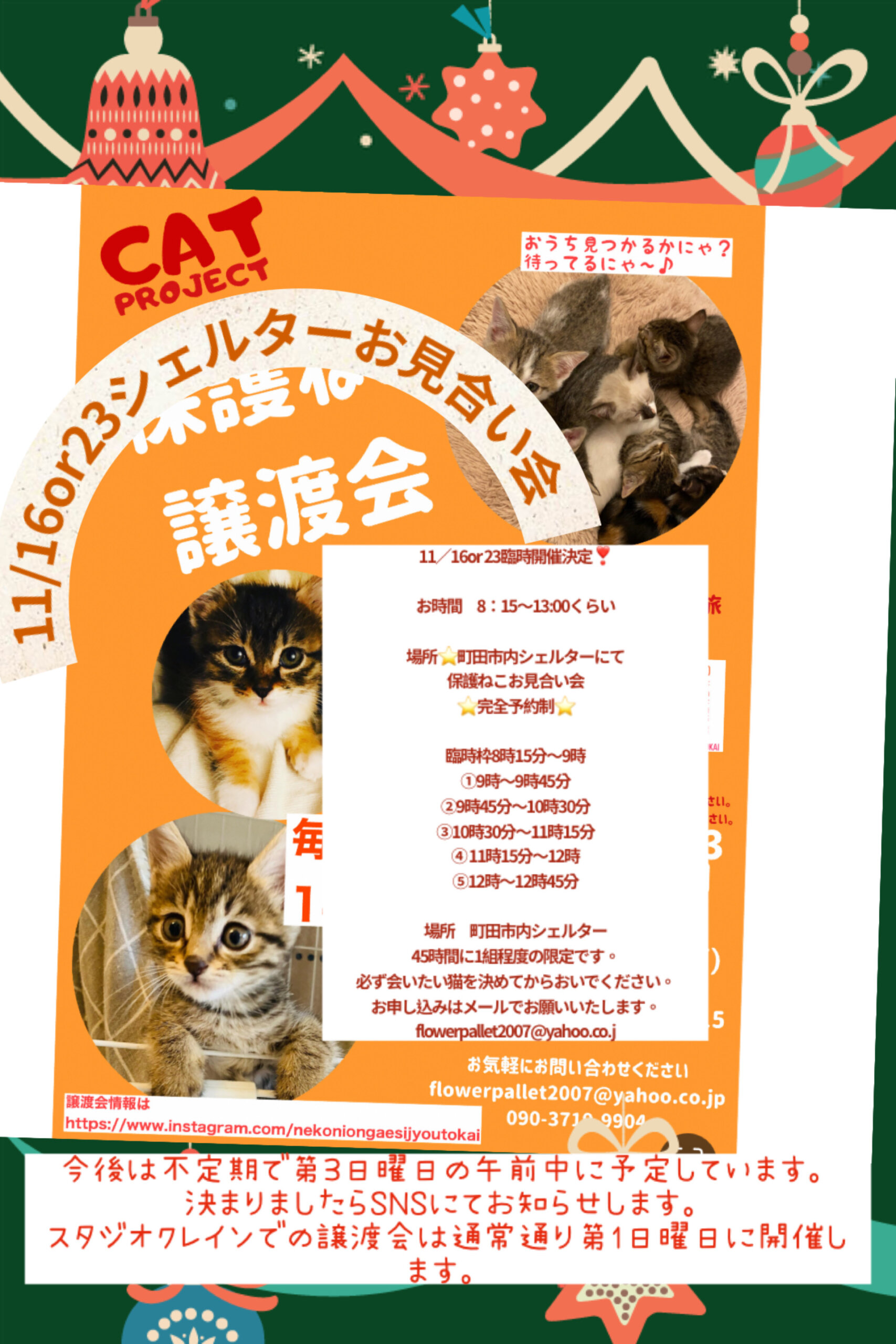 HappyCats〜ねこに恩返し〜保護ねこシェルターお見合い会