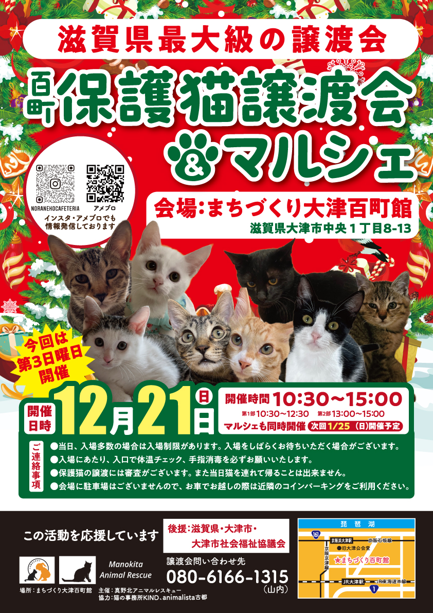 百町保護猫譲渡会＆マルシェ