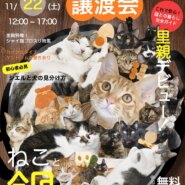 ふれあえる譲渡会 in大阪市（見学だけでもOK！）