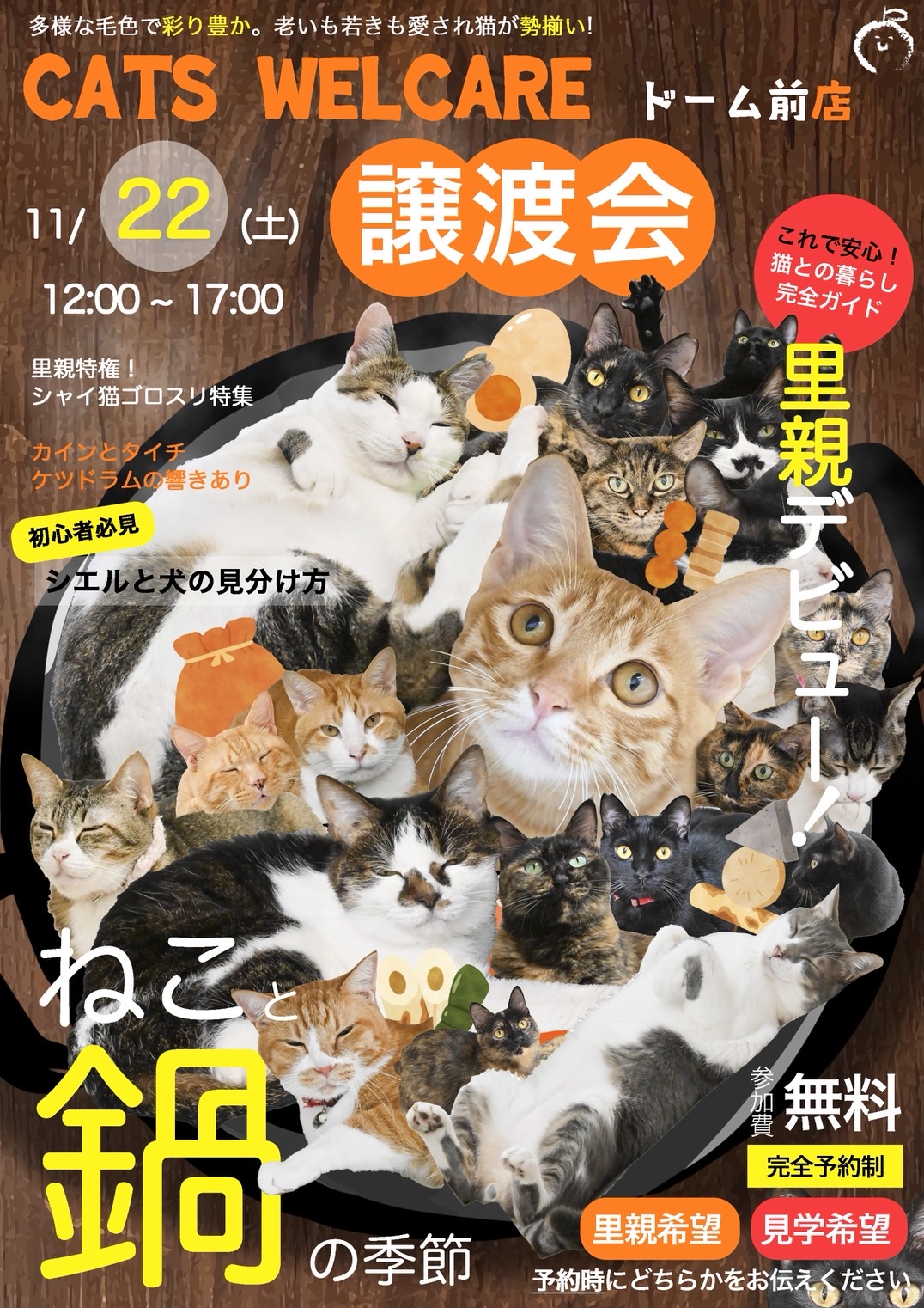 ふれあえる譲渡会 in大阪市（見学だけでもOK！）