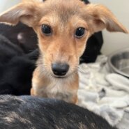 生後3ヶ月くらいの可愛い男の子