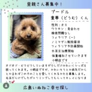 童夢(どうむ)君