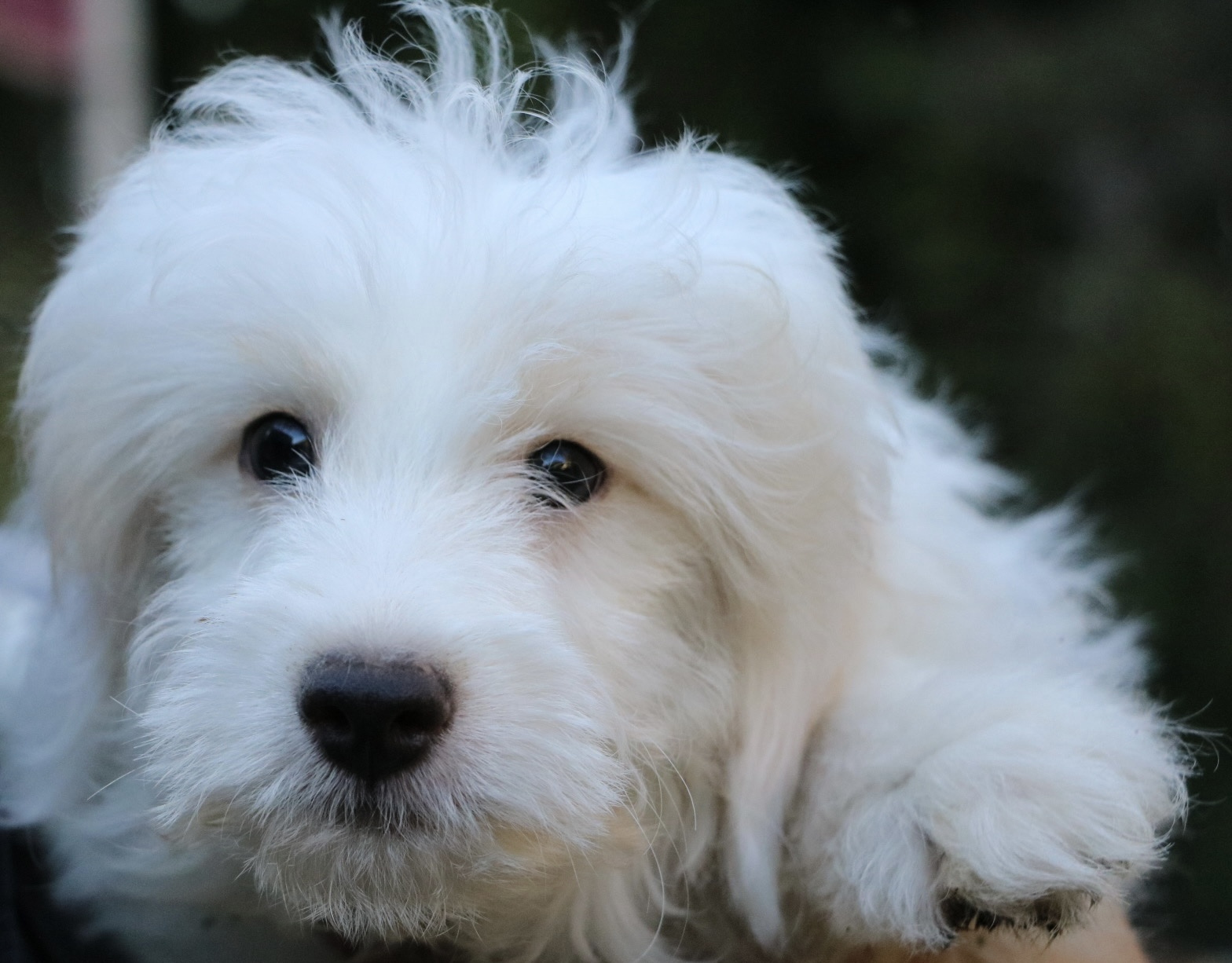 とっても可愛いスタンプーミックス!