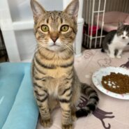 美人さんのビィ～ナちゃん♡