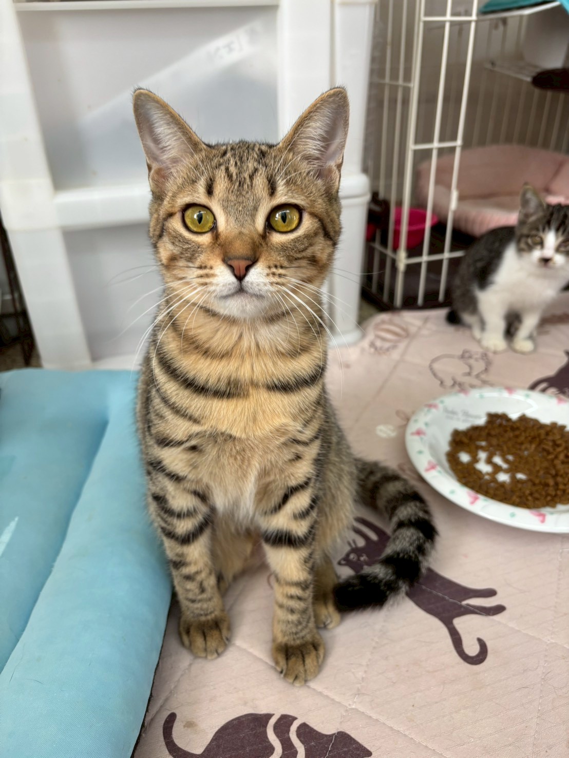 美人さんのビィ～ナちゃん♡