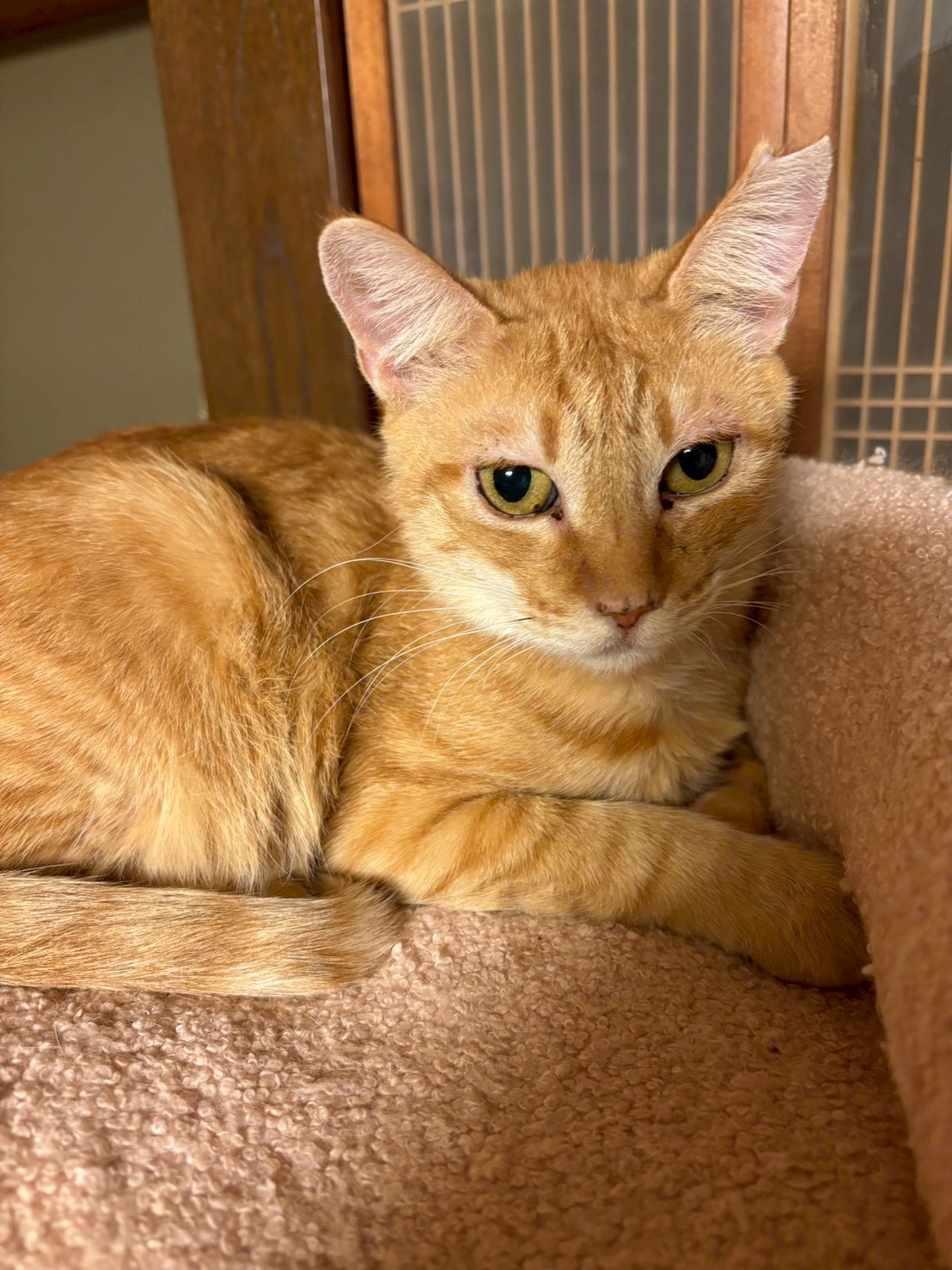 心優しいひなちゃん