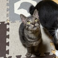 小柄のお嬢さん♡海(マリン)ちゃん