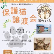 【さいたま市西区】11/23(日)さいたま市西区ぽのいえ保護猫譲渡会