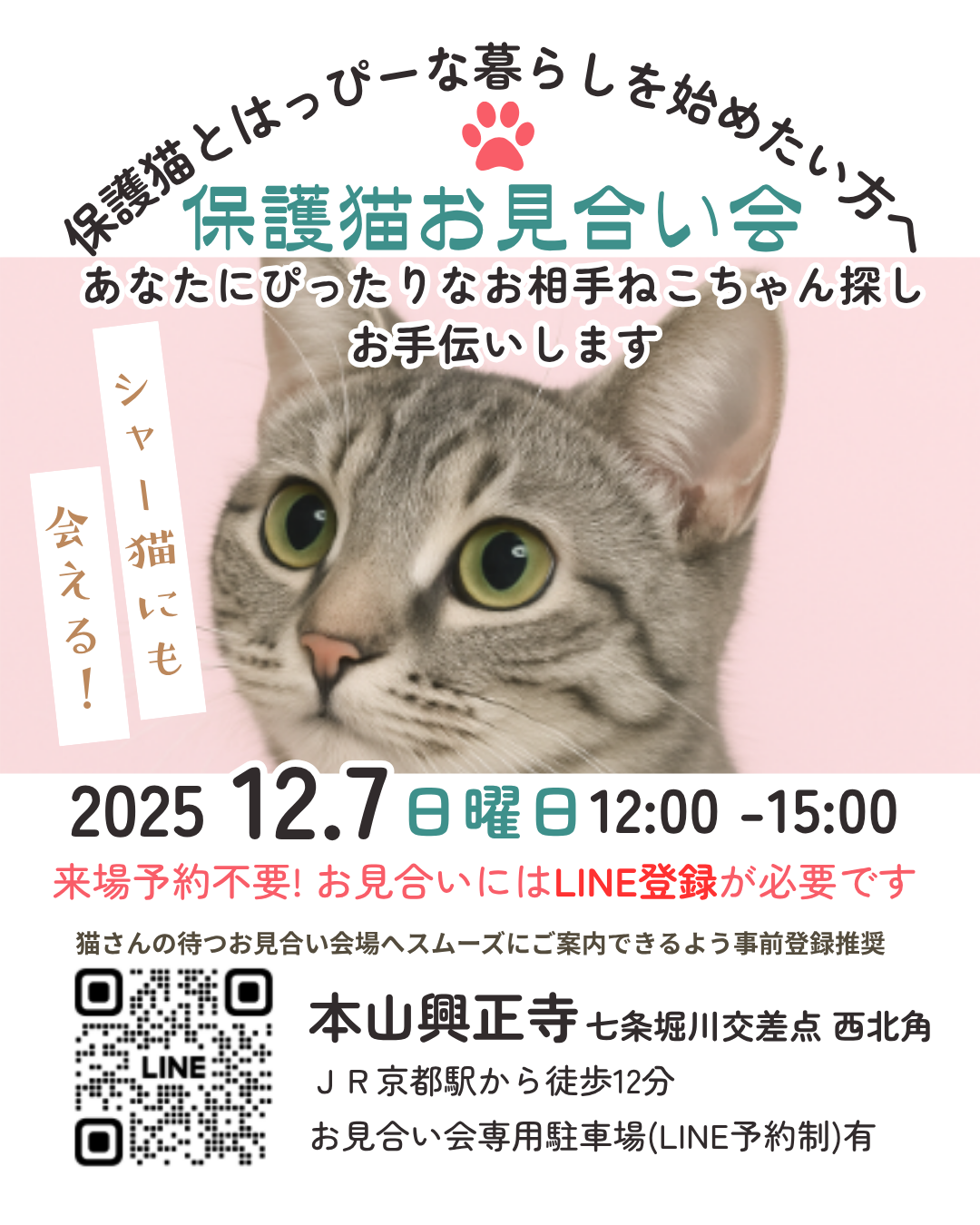 2025年12月7日(日)12：00-