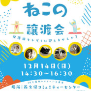 むさしの地域猫の会 譲渡会