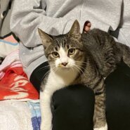 元気でやんちゃなむーちゃん