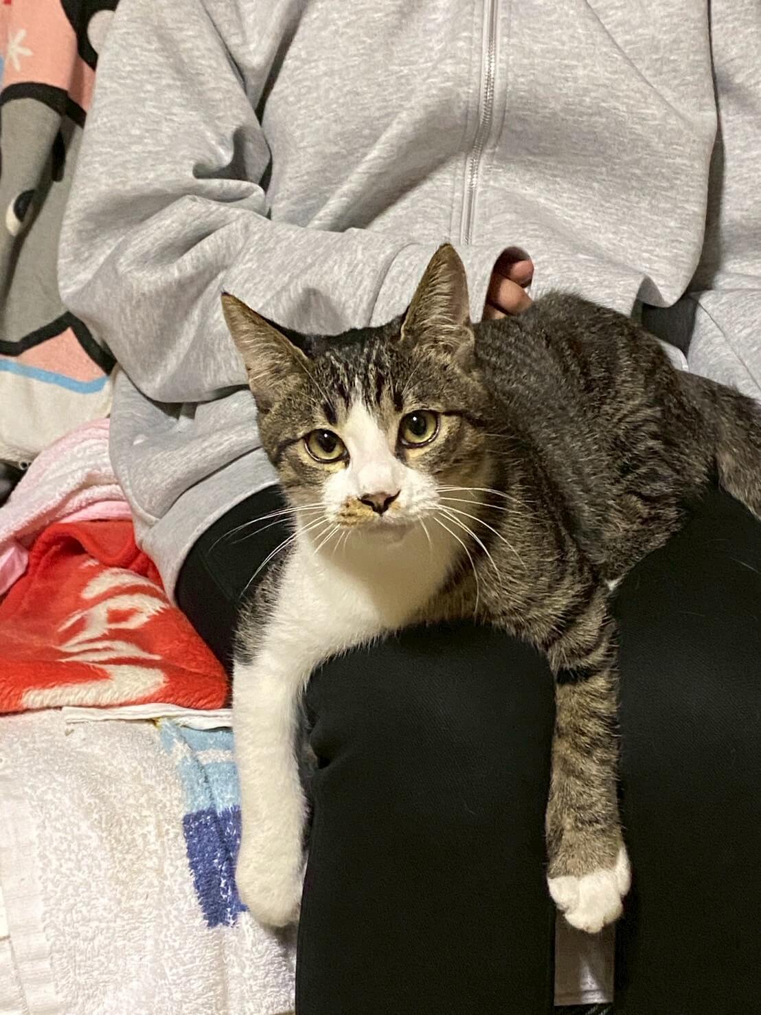 元気でやんちゃなむーちゃん