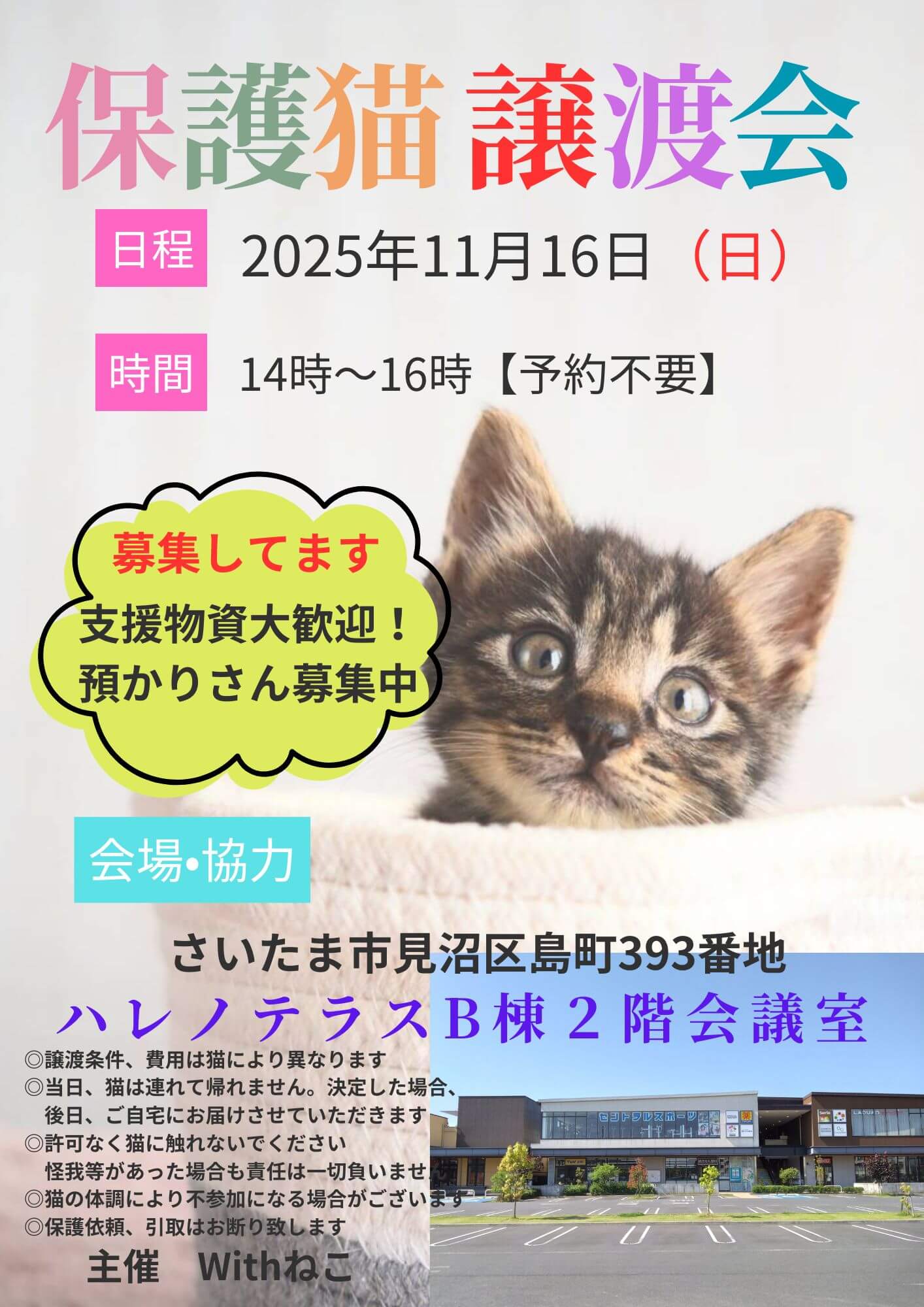 【さいたま市見沼区】11/16(日)ハレノテラス保護猫譲渡会