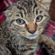 兄妹二人で寄り添ってきた♡ウーちゃん