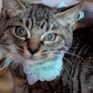 兄妹二人で寄り添ってきた♡ふぅくん