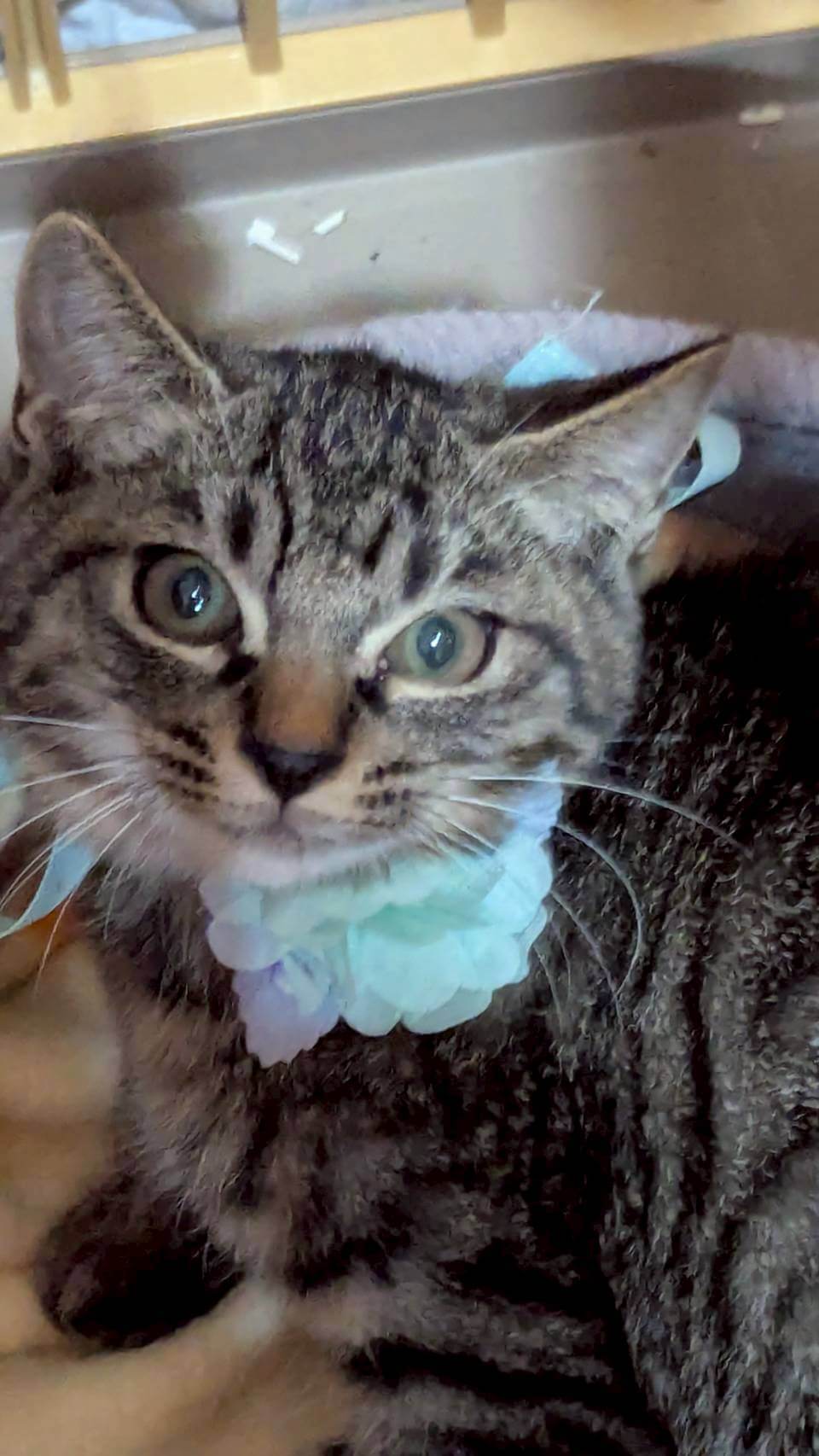 兄妹二人で寄り添ってきた♡ふぅくん