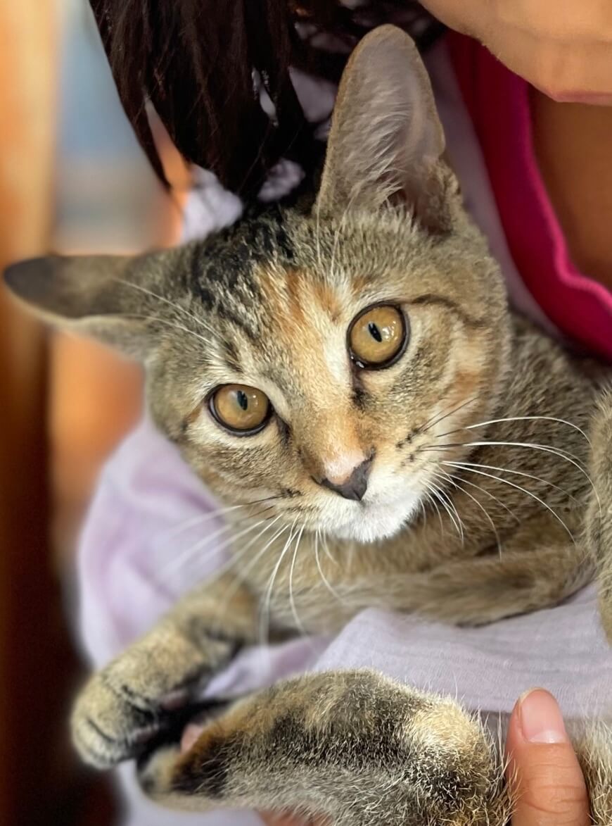 人が大好き！無邪気でお茶目なミミちゃん