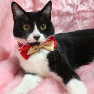 初心者にオススメ!なれなれ『おたま』6カ月