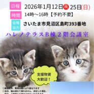 【さいたま市見沼区】1/12㊗ハレノテラス保護猫譲渡会