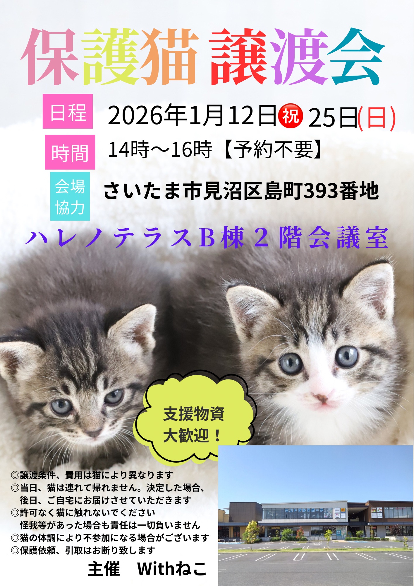 【さいたま市見沼区】1/12㊗ハレノテラス保護猫譲渡会