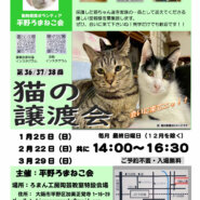 第36回平野ろまねこ譲渡会