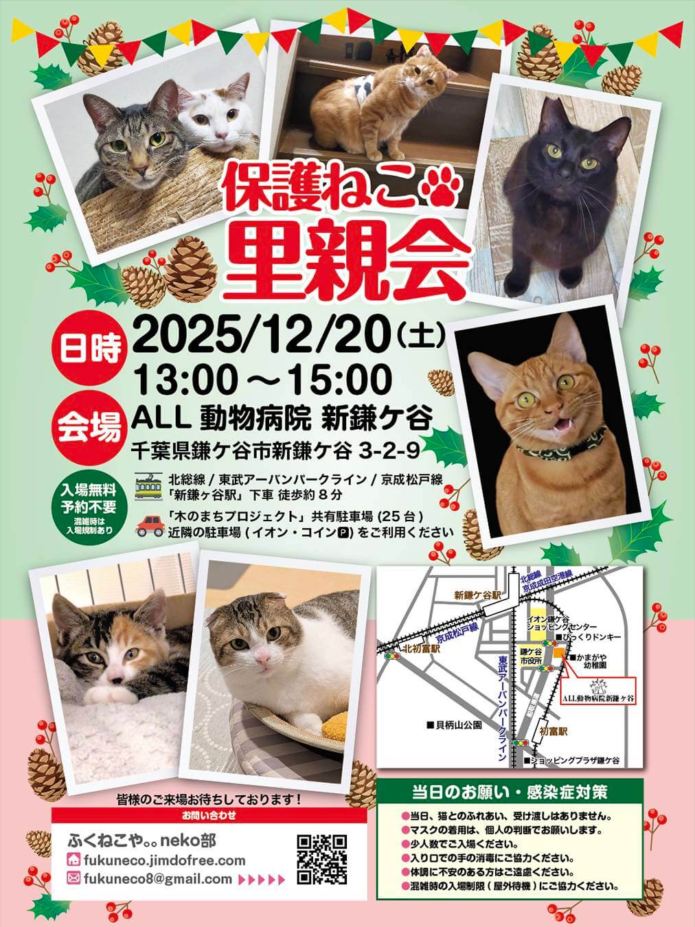 保護ねこ里親会@新鎌ヶ谷