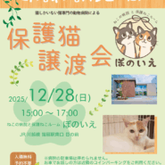 ねこの病院と保護ねこルーム ぽのいえ保護猫譲渡会
