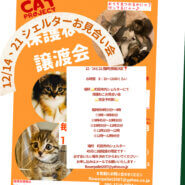 HappyCats〜ねこに恩返し〜保護ねこシェルターお見合い会